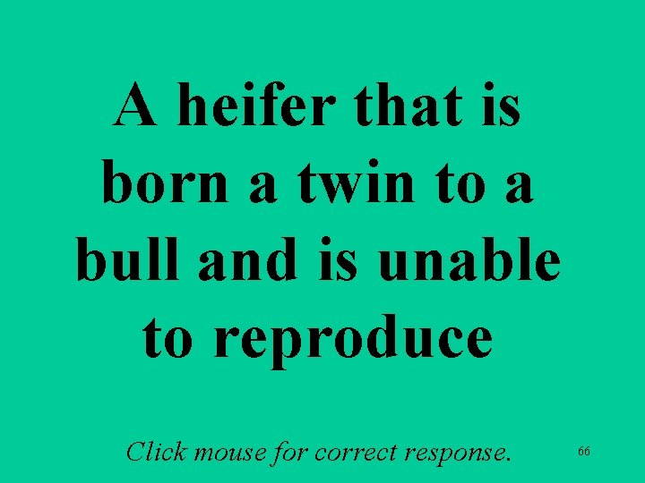 A heifer that is born a twin to a bull and is unable to