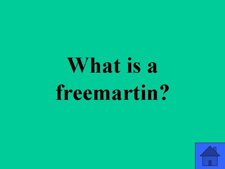What is a freemartin? 67 What is a freemartin? 67