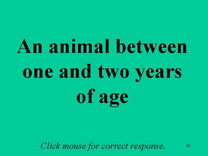 An animal between one and two years of age Click mouse for correct response.