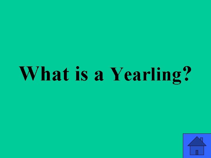 What is a Yearling? 69 What is a Yearling? 69