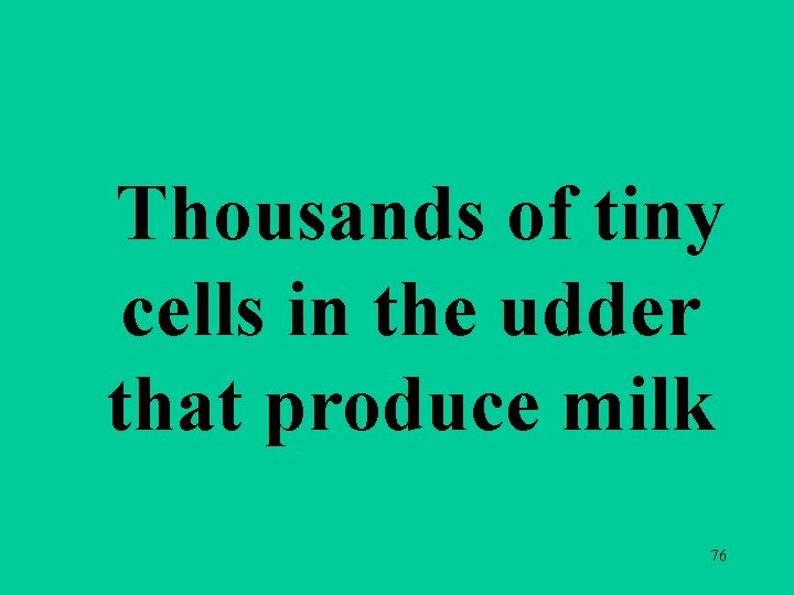 Thousands of tiny cells in the udder that produce milk 76 Thousands of tiny cells in the udder that produce milk 76
