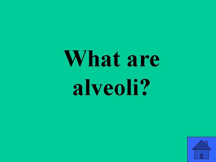 What are alveoli? 77 