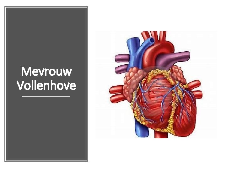 Mevrouw Vollenhove 