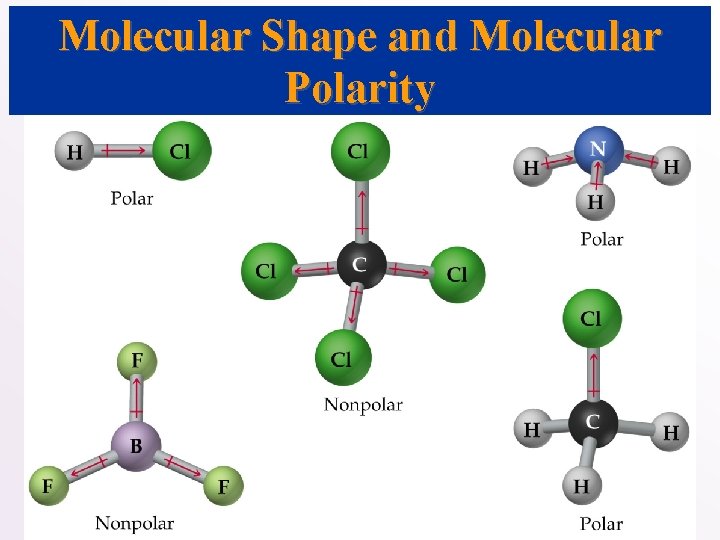 Molecular Shape and Molecular Polarity 