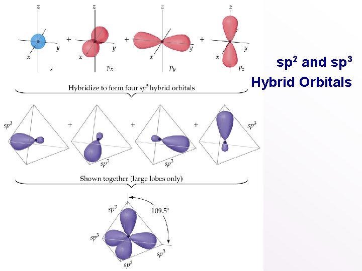 sp 2 and sp 3 Hybrid Orbitals 