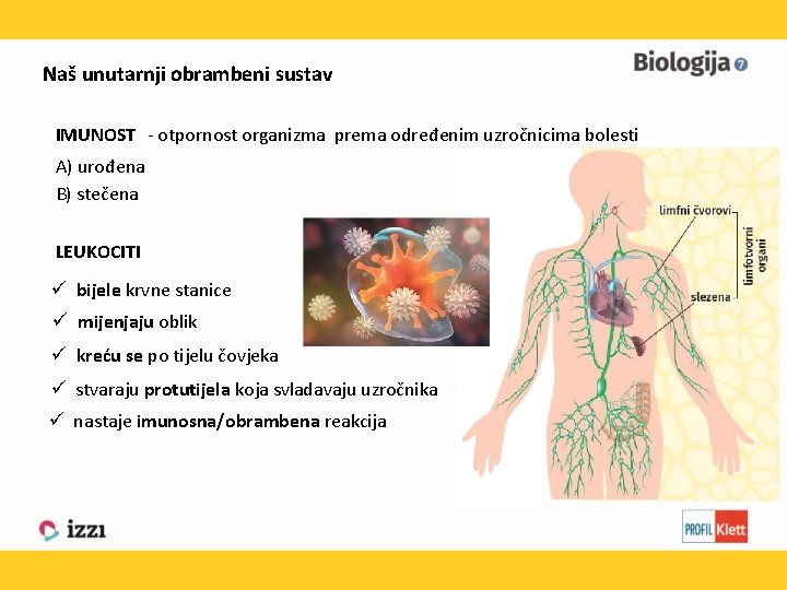 Naš unutarnji obrambeni sustav IMUNOST - otpornost organizma prema određenim uzročnicima bolesti A) urođena