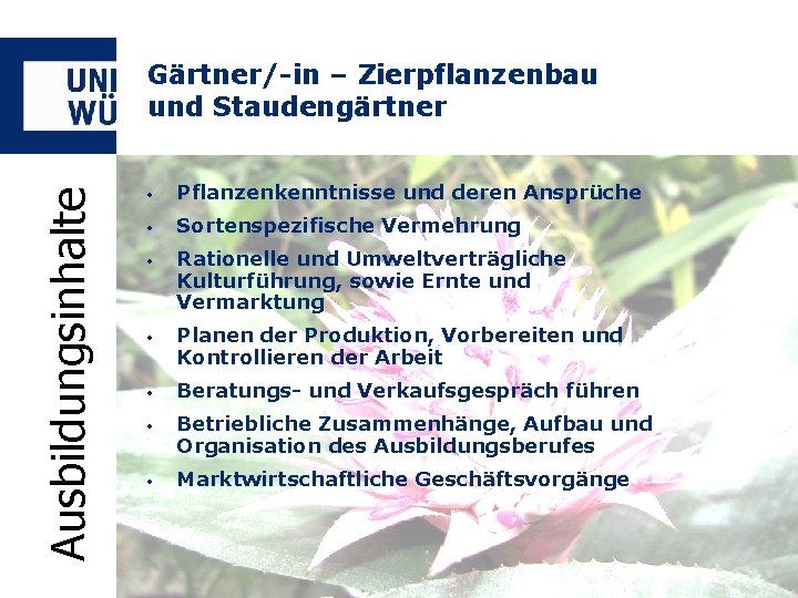 Ausbildungsinhalte Gärtner/-in – Zierpflanzenbau und Staudengärtner • Pflanzenkenntnisse und deren Ansprüche • Sortenspezifische Vermehrung