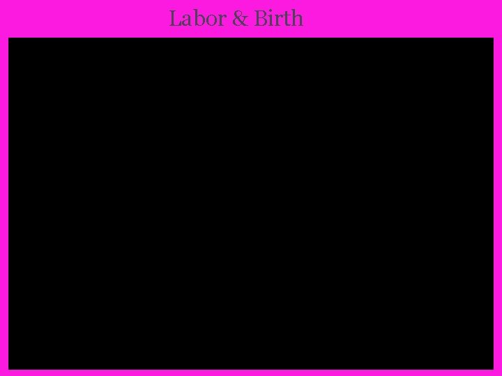 Labor & Birth 