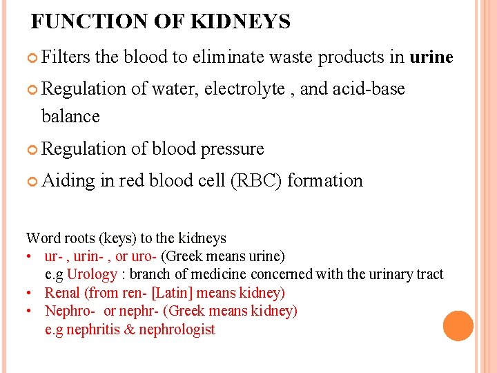 URINARY SYSTEM FUNCTION OF KIDNEYS Filters the blood