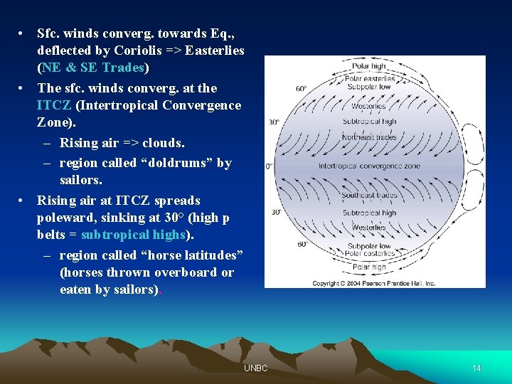  • Sfc. winds converg. towards Eq. , deflected by Coriolis => Easterlies (NE