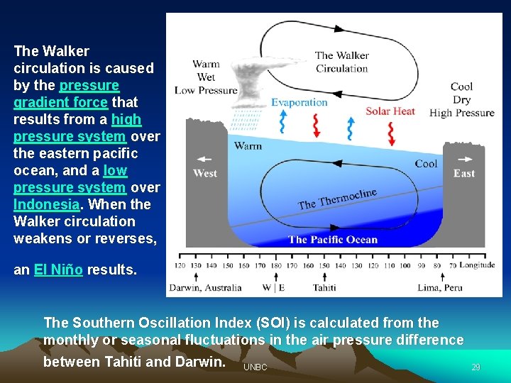 The Walker circulation is caused by the pressure gradient force that results from a