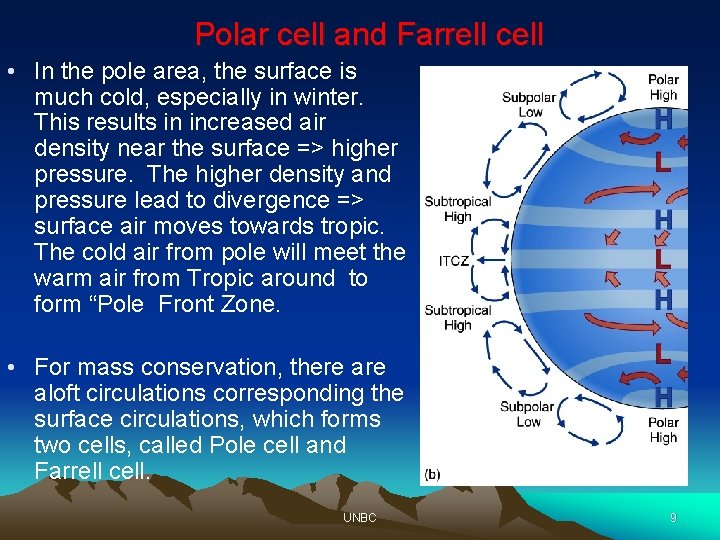Polar cell and Farrell cell • In the pole area, the surface is much