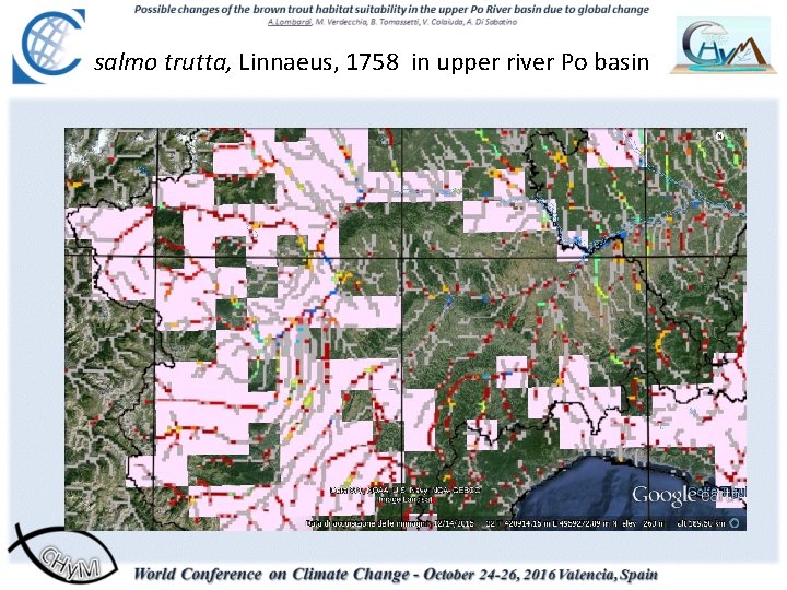 salmo trutta, Linnaeus, 1758 in upper river Po basin salmo [trutta] trutta(Ruffo and Stoch,