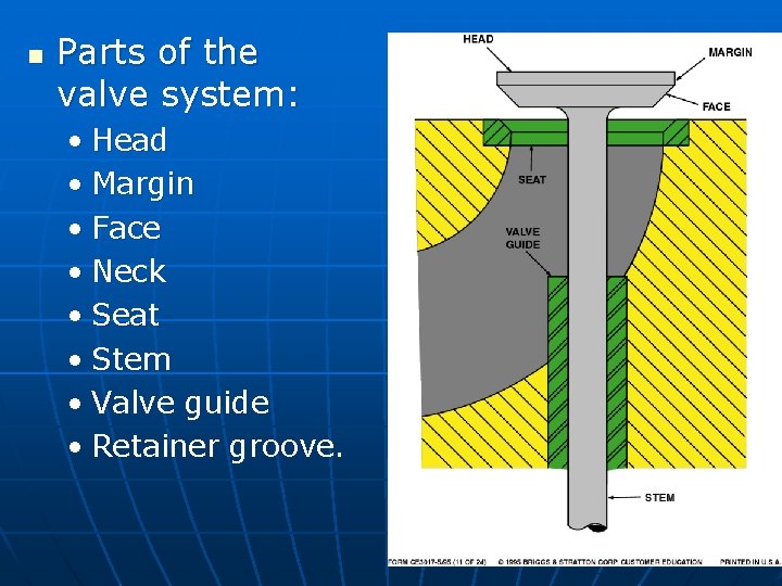 n Parts of the valve system: • Head • Margin • Face • Neck