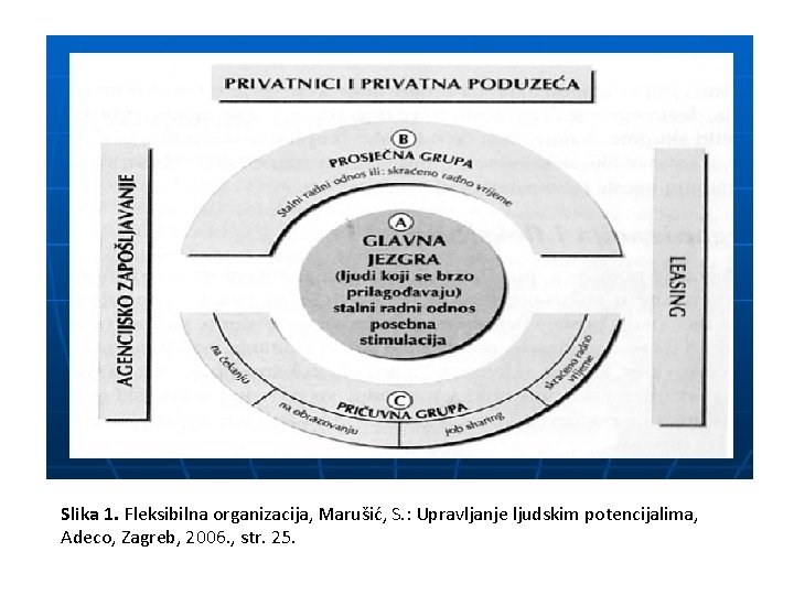 Slika 1. Fleksibilna organizacija, Marušić, S. : Upravljanje ljudskim potencijalima, Adeco, Zagreb, 2006. ,