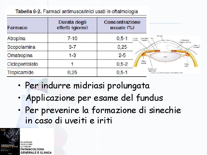  • Per indurre midriasi prolungata • Applicazione per esame del fundus • Per