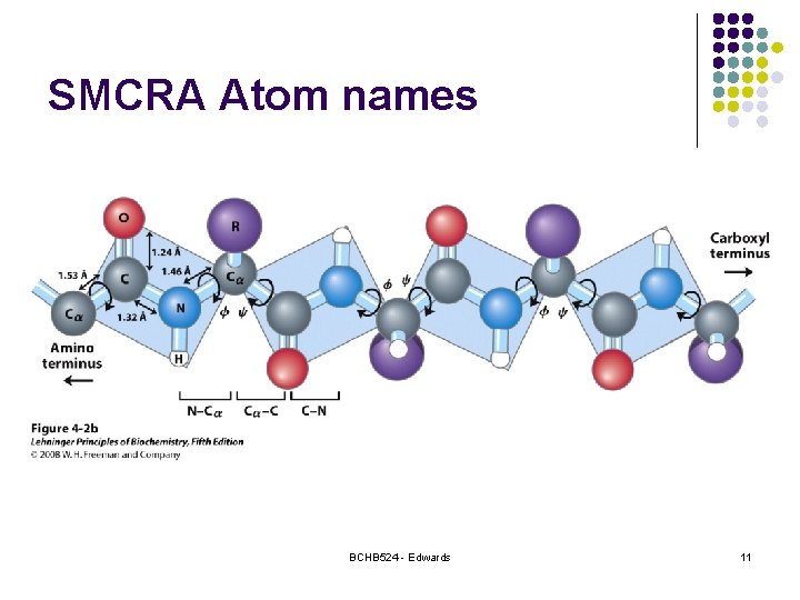 SMCRA Atom names BCHB 524 - Edwards 11 