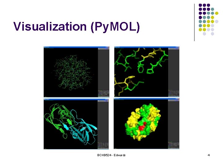 Visualization (Py. MOL) BCHB 524 - Edwards 4 