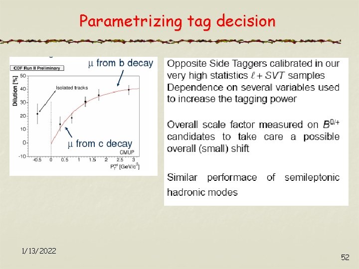 Parametrizing tag decision 1/13/2022 52 