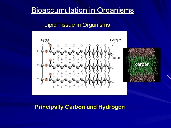 Bioaccumulation in Organisms Lipid Tissue in Organisms carbon Principally Carbon and Hydrogen 