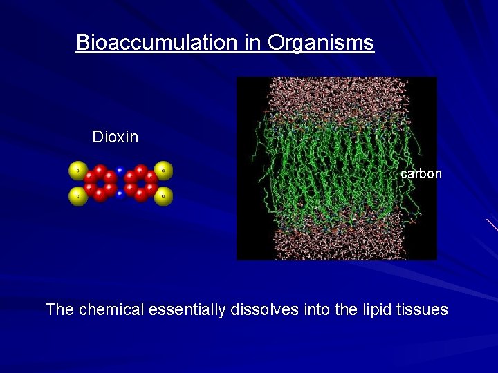 Bioaccumulation in Organisms Dioxin carbon The chemical essentially dissolves into the lipid tissues 