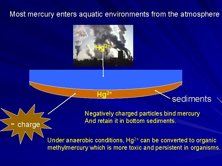 Most mercury enters aquatic environments from the atmosphere Hg 2+ - charge sediments Negatively