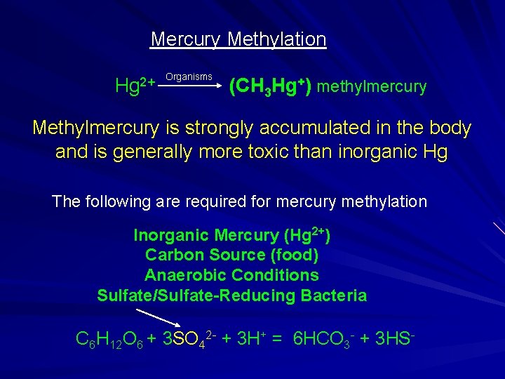 Mercury Methylation Hg 2+ Organisms (CH 3 Hg+) methylmercury Methylmercury is strongly accumulated in