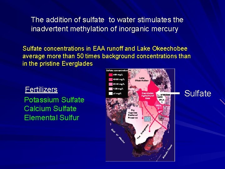 The addition of sulfate to water stimulates the inadvertent methylation of inorganic mercury Sulfate