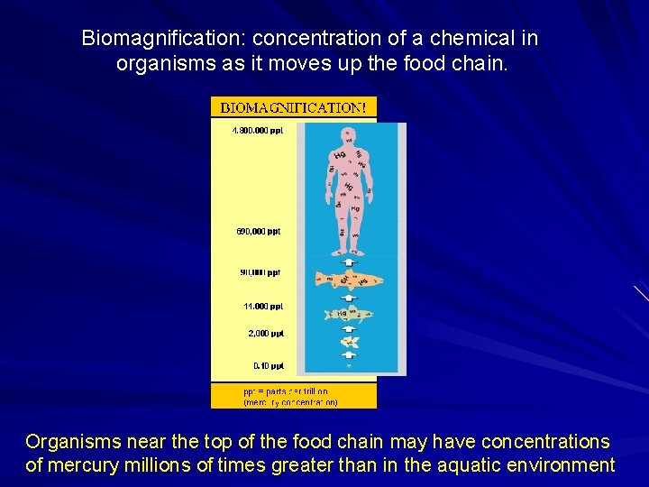 Biomagnification: concentration of a chemical in organisms as it moves up the food chain.