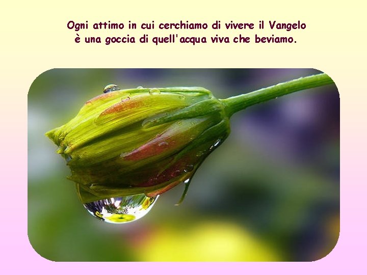 Ogni attimo in cui cerchiamo di vivere il Vangelo è una goccia di quell'acqua