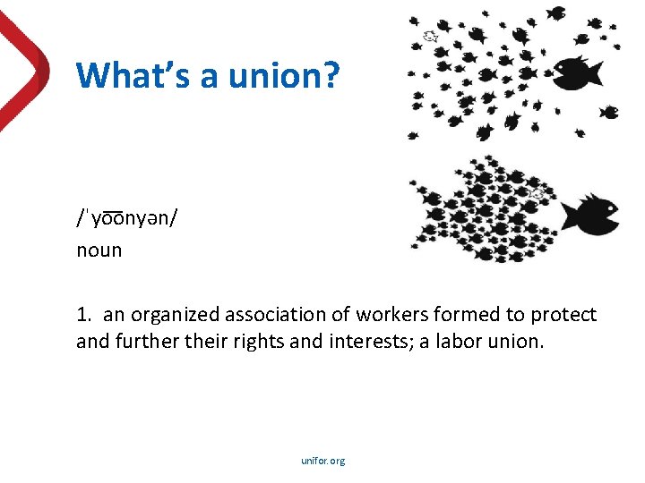 What’s a union? /ˈyo onyən/ noun 1. an organized association of workers formed to