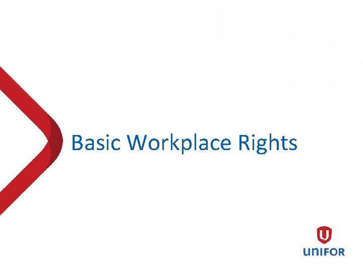 Basic Workplace Rights 