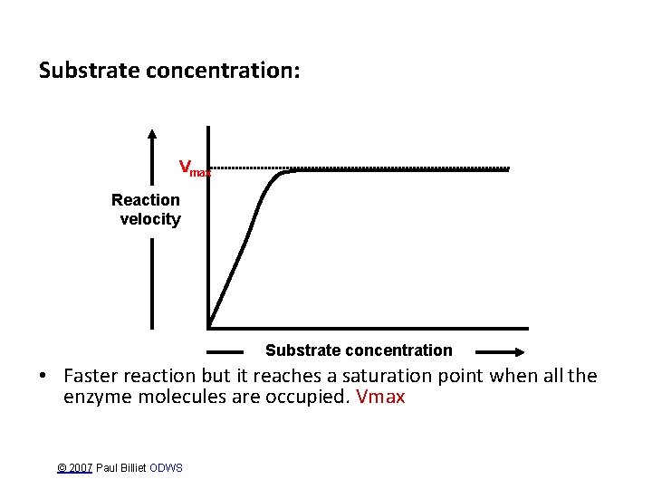 Substrate concentration: Vmax Reaction velocity Substrate concentration • Faster reaction but it reaches a
