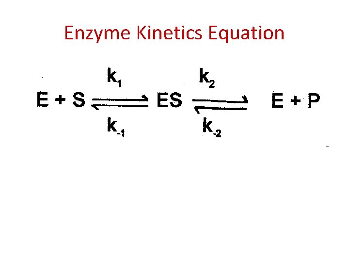 Enzyme Kinetics Equation 
