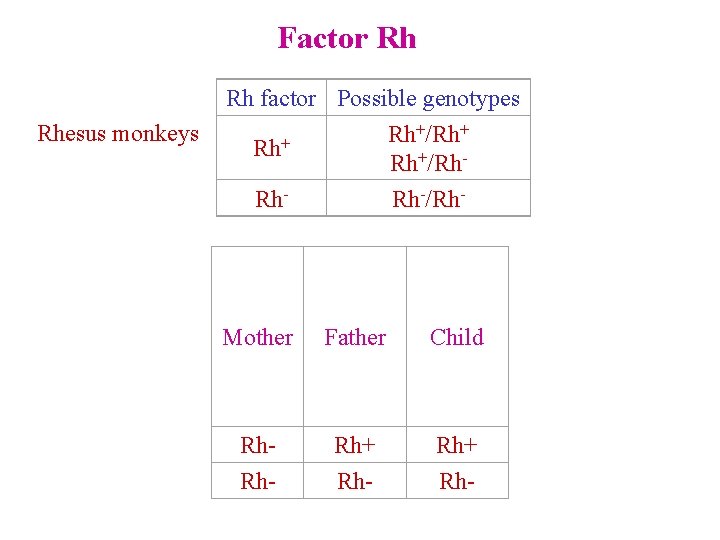 Factor Rh Rhesus monkeys Rh factor Possible genotypes +/Rh+ Rh Rh+/Rh. Rh-/Rh- Mother Father