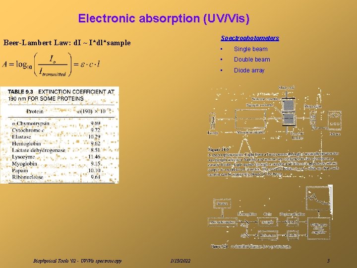 Electronic absorption (UV/Vis) Spectrophotometers Beer-Lambert Law: d. I ~ I*dl*sample Biophysical Tools '02 -