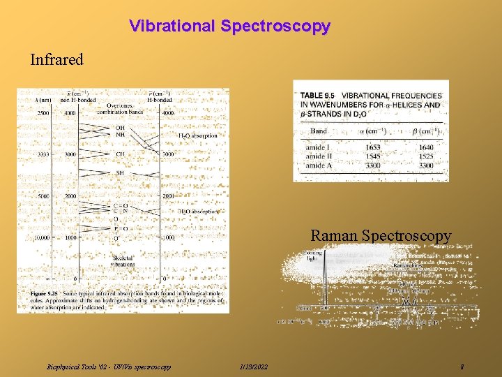 Vibrational Spectroscopy Infrared Raman Spectroscopy Biophysical Tools '02 - UV/Vis spectroscopy 1/13/2022 8 
