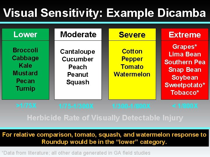 Visual Sensitivity: Example Dicamba Lower Moderate Severe Broccoli Cabbage Kale Mustard Pecan Turnip Cantaloupe Visual Sensitivity: Example Dicamba Lower Moderate Severe Broccoli Cabbage Kale Mustard Pecan Turnip Cantaloupe