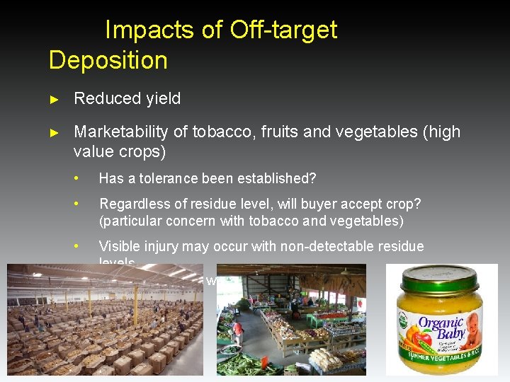 Impacts of Off-target Deposition ► Reduced yield ► Marketability of tobacco, fruits and vegetables Impacts of Off-target Deposition ► Reduced yield ► Marketability of tobacco, fruits and vegetables