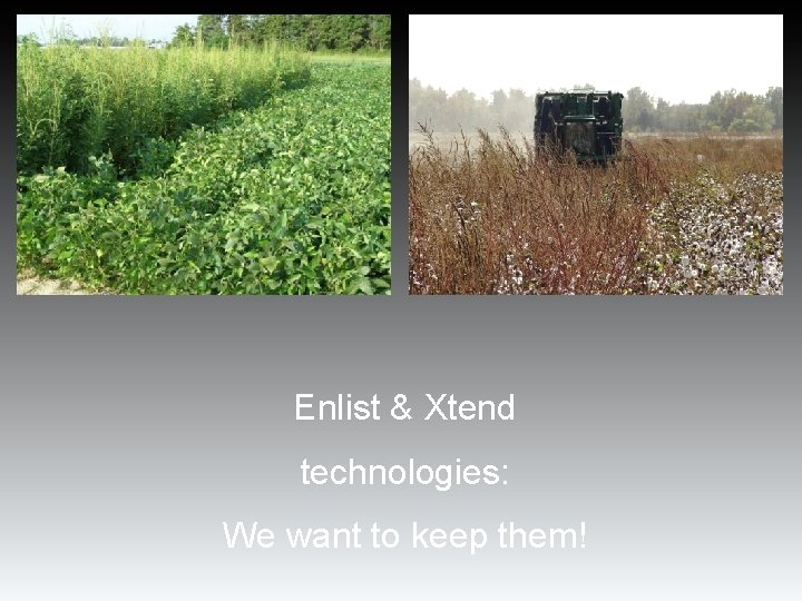 Enlist & Xtend technologies: We want to keep them! Enlist & Xtend technologies: We want to keep them!