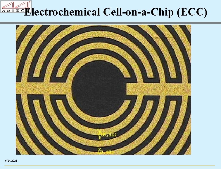 Electrochemical Cell-on-a-Chip (ECC) ECC IME XX 04, Au, Pt or ITO 1 cm XX