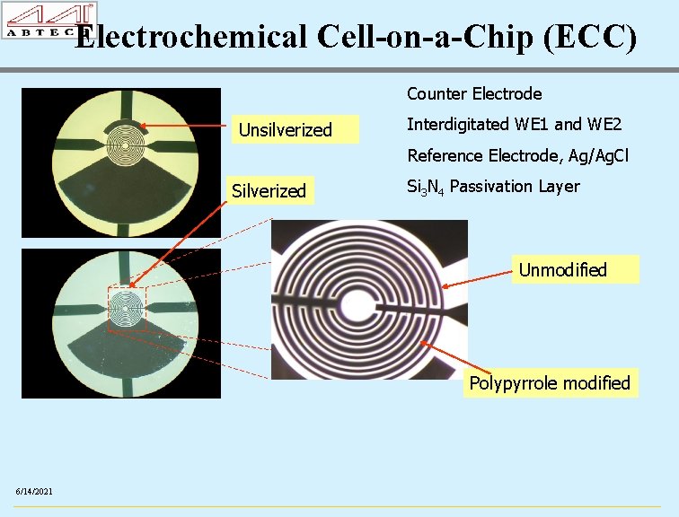 Electrochemical Cell-on-a-Chip (ECC) Counter Electrode Unsilverized Interdigitated WE 1 and WE 2 Reference Electrode,