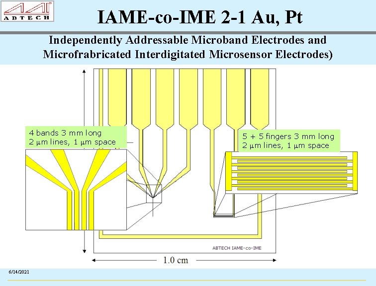 IAME-co-IME 2 -1 Au, Pt Independently Addressable Microband Electrodes and Microfrabricated Interdigitated Microsensor Electrodes)