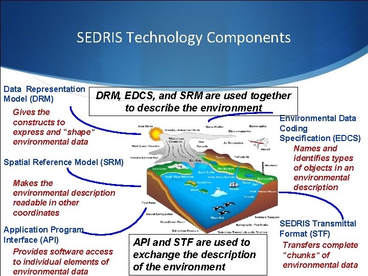 SEDRIS Technology Components Data Representation Model (DRM) Gives the constructs to express and “shape”