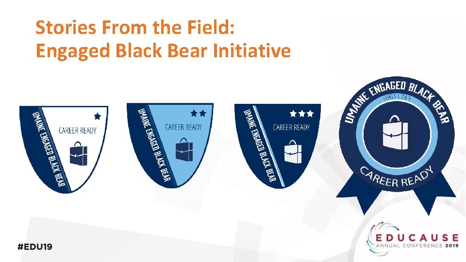 Stories From the Field: Engaged Black Bear Initiative 