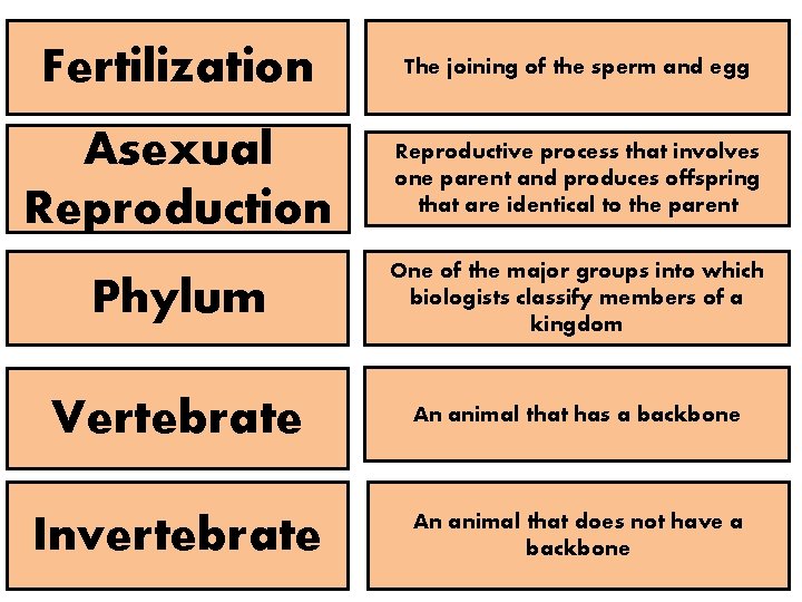 Fertilization The joining of the sperm and egg Asexual Reproduction Reproductive process that involves