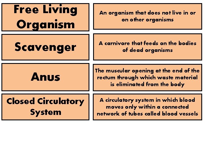Free Living Organism An organism that does not live in or on other organisms