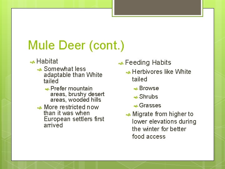 Mule Deer (cont. ) Habitat Somewhat less adaptable than White tailed Feeding mountain areas,