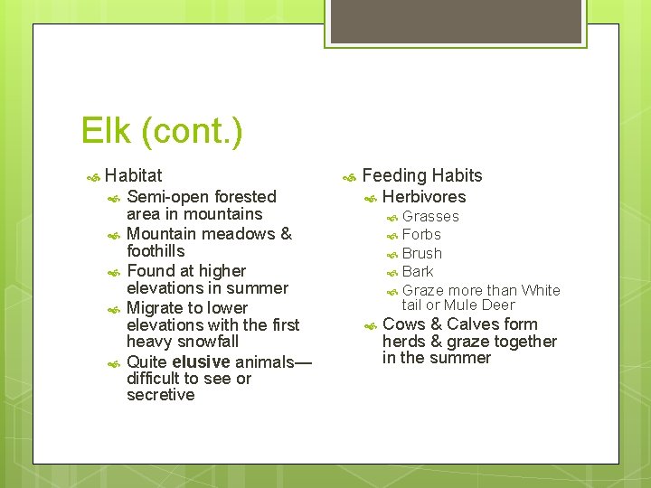 Elk (cont. ) Habitat Semi-open forested area in mountains Mountain meadows & foothills Found