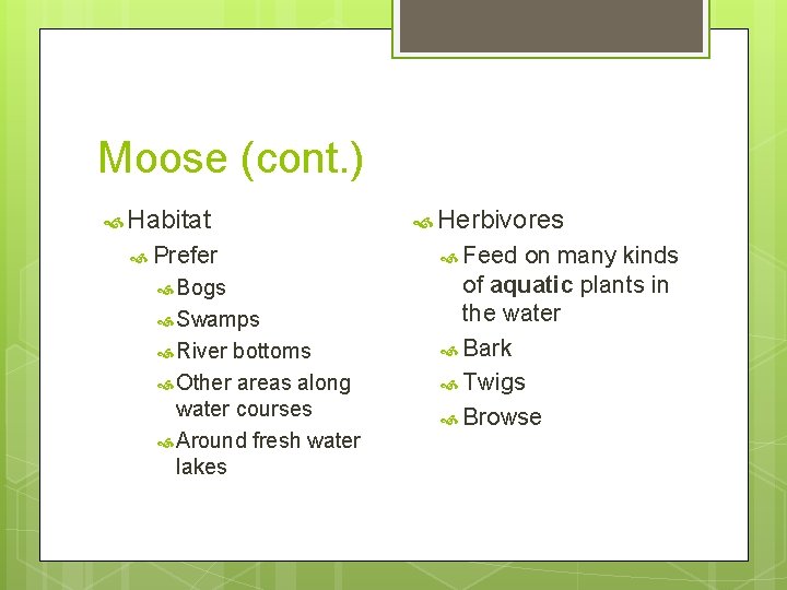 Moose (cont. ) Habitat Prefer Bogs Swamps River bottoms Other areas along water courses